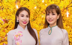 Á hậu Băng Châu và hơn 100 nghệ sĩ nhận bằng khen "Nghệ sĩ vì cộng đồng"