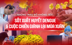 Những “màu đỏ không Tết” do Sốt xuất huyết Dengue và cuộc chiến giành lại mùa xuân