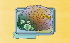 Hãy tự cứu bộ não của mình trước khi quá muộn