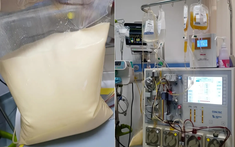 25 tuổi, máu chuyển trắng như sữa, cùng lúc mắc 3 bệnh nguy kịch: Bác sĩ cảnh báo lối sống này đang âm thầm “bôi mỡ” vào máu người trẻ