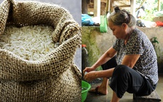 Mẹ thường xuyên mang đồ tôi biếu sang cho em trai, tháng này tôi không mua gì, đến bữa cơm bà nói một câu khiến cả nhà chết lặng