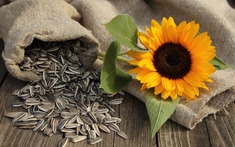 Hướng dương, đậu phộng chưa chắc tốt bằng 3 loại rau này: Tóc đen hơn, người mát, ăn là mê