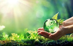 “Thơ mất ngủ” Thông điệp mang tính nhân văn: 