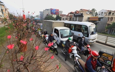 Thủ tướng Chính phủ chỉ đạo tăng cường phương tiện vận tải dịp Tết, không để xảy ra hiện tượng chèn ép giá