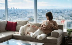 Những gia đình chọn không sinh con đẻ cái về cơ bản đều có vài "nỗi khổ khó nói" này