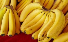 Đi chợ nên mua chuối cong hay chuối thẳng: Sự thật số đông không hề biết