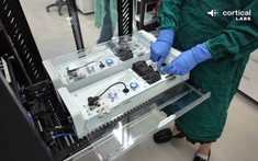 Bạn có nhớ cụm neuron thần kinh chơi được Doom hôm trước không? Nó sắp được ghép thành trung tâm dữ liệu sinh học rồi đây này