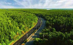 VnExpress Marathon Green Paradise Cần Giờ - Hành trình vạn bước chạy “đánh thức” biểu tượng du lịch mới của TP.HCM