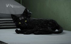 Death Stranding 2: On the Beach chuẩn bị phát hành trên PC với ray tracing và chế độ khó mới