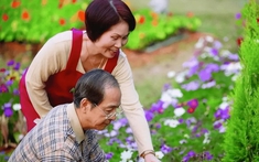 Lương hưu hơn 6 triệu/tháng: Sau một trận ốm, tôi mới hiểu giá trị tài chính thật sự của khoản tiền tưởng nhỏ