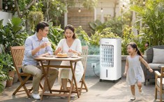 Tiền điện tăng vọt mùa hè, con thò tay vào quạt - mẹ Việt phải làm sao?