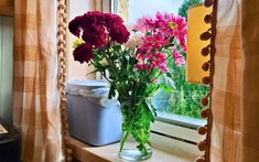 Mua hoa về cắm, đừng bao giờ đặt ở vị trí này trong nhà