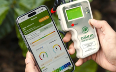 AI không còn để thử cho vui: 4 ứng dụng AI Việt phục vụ công việc từ làm web đến trồng trọt