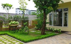 5 loại cây đừng trồng trước cửa nhà