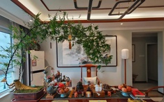 Ông bà dặn kỹ: 6 vị trí trong nhà tuyệt đối không nên đặt cây cảnh, sai một ly gia đình dễ lục đục