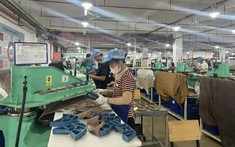 Thanh Hóa phát huy hiệu quả chính sách bảo hiểm thất nghiệp, nâng cao an sinh và kết nối thị trường lao động