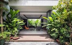 3 loại cây đừng trồng trước hiên nhà: Dễ mang vận xui và hao tài