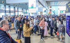 Các hãng hàng không Việt Nam đang xây dựng phương án phụ thu nhiên liệu các đường bay quốc tế