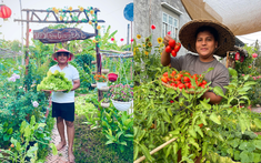 Chênh vênh ở thành phố, chàng trai 9x Vĩnh Long về quê xây "thiên đường hạ giới" với 100 triệu đồng: Trồng rau, nuôi cá và 1001 thứ hoa thơm...