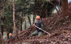 Phát huy vai trò lãnh đạo, chỉ đạo của cấp uỷ, chỉ huy các cấp trong thực hiện nhiệm vụ rà, phá, bom, mìn, vật liệu nổ của bộ đội Công binh hiện nay