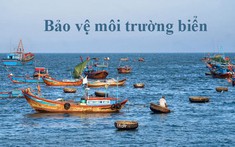 Thực thi pháp luật về phòng ngừa ô nhiễm môi trường biển ở Việt Nam - thực trạng và giải pháp hoàn thiện
