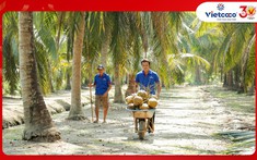 Vietcoco và hành trình 30 năm Hàng Việt Nam chất lượng cao