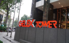 Ngày 1/4, GELEX tổ chức ĐHĐCĐ thường niên 2026