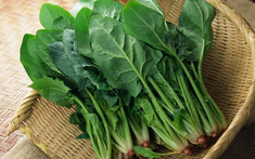 Tiểu thương chợ nói thật: 5 loại rau “đẹp long lanh” này tôi còn không dám ăn, nhiều người lại mua mỗi ngày