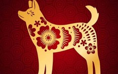 4 con giáp năm 2026 sống bình yên, không dính thị phi: Năm nay tích tiền, năm sau mua nhà!