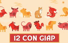 Năm 2026: 3 con giáp được dự báo sẽ mang lại vận may tài chính cho cả nhà