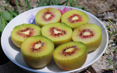 Loại quả được gọi là "trái cây ngủ", ăn một vài miếng mỗi ngày có thể giúp bạn ngủ ngon giấc đến tận sáng, chợ Việt bán rất nhiều