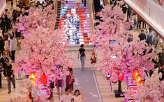 Tháng 3 này! Một Nhật Bản “dễ thương hết nấc” xuất hiện tại phường Bình Dương