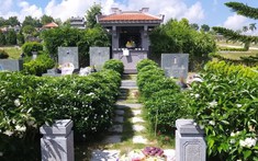 5 loại cây đừng trồng trước mộ phần, ảnh hưởng tới người đã khuất, phúc khí của con cháu