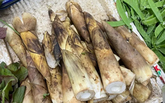 Ăn 1 loại rau khi đói bụng, người đàn ông nhập viện vì xuất huyết dạ dày, bác sĩ nhăn mặt: "Làm thế khác gì cọ sắt chà thành dạ dày?"