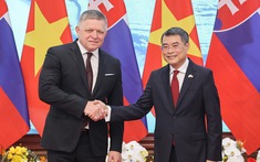 Thủ tướng Lê Minh Hưng hội đàm với Thủ tướng Cộng hòa Slovakia Robert Fico