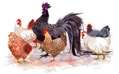 Chuyên gia dự báo: 3 con giáp có thể đạt khoản dự phòng 200 triệu trong 1 năm tới