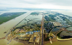 Chum mắm chờ cá: Nỗi trăn trở ở Đặc khu Cát Hải
