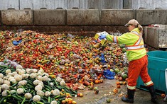 Mỗi ngày, thế giới lãng phí lượng thực phẩm đủ cho 1 tỷ bữa ăn