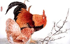 Chuyên gia tiết lộ: 4 con giáp có tín hiệu tăng thu nhập, đủ khả năng tích lũy 300 triệu trong thời gian tới