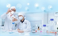 Imexpharm công bố KQKD Quý 1 với lợi nhuận trước thuế tăng 8%