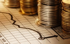 ĐHCĐ thường niên EVG: Nhiều tín hiệu lạc quan và triển vọng tăng trưởng kinh doanh bền vững