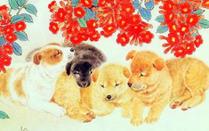 14 ngày tới: 4 con giáp có tín hiệu tăng thu nhập, cơ hội cải thiện tài chính rõ rệt