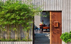 Đừng trồng 6 loại cây này sát nhà kẻo "rước họa"