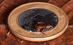 Loài vật nhỏ nhất hành tinh