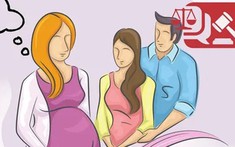 Pháp luật về mang thai hộ vì mục đích nhân đạo tại Việt Nam: thực trạng và giải pháp ngăn ngừa nguy cơ thương mại hóa