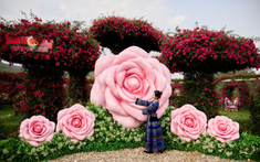 Du lịch Sa Pa 30/4: Đắm say với "Bản giao hưởng hoa hồng" tại Sun World Fansipan Legend