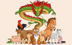 Chuyên gia dự báo: 4 con giáp này càng lớn tuổi càng vượng tài, hậu vận giàu ổn định, sự nghiệp thăng hoa rõ rệt