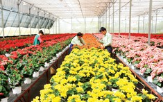 Đổi mới công tác đào tạo, bồi dưỡng công chức ngành nông nghiệp tỉnh Lâm Đồng đáp ứng yêu cầu vận hành chính quyền địa phương hai cấp