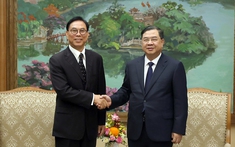 Phó Thủ tướng Thường trực Phạm Gia Túc tiếp Đoàn Hiệp hội Hợp tác quốc tế doanh nghiệp vừa và nhỏ Thượng Hải