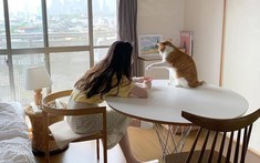 30 tuổi chưa mua được nhà, có lẽ tôi chỉ đủ sức nuôi nổi bản thân